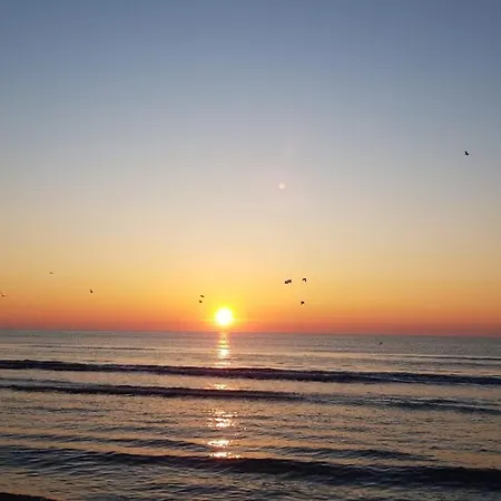 Gray Mamaia Nord *