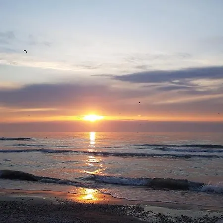 Gray Mamaia Nord Apartament *