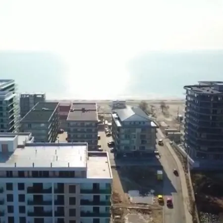 Gray Mamaia Nord *
