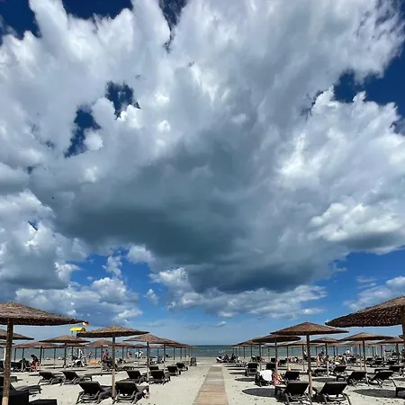 Gray Mamaia Nord * Năvodari